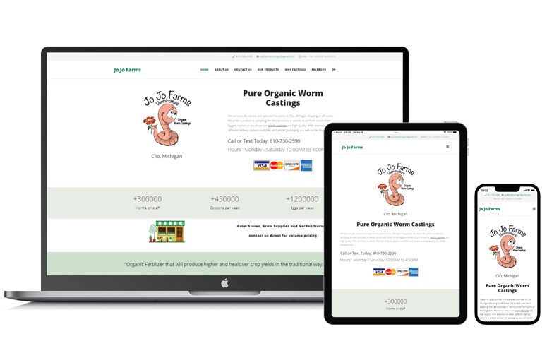 Website Design | Website Development | Level 1 Website Design on Sale $1,699 Website Design | Website Development | Level 1 Website Design on Sale $1,699